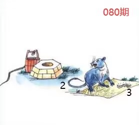 图片如未显示!证明未更新-开奖日再来看看