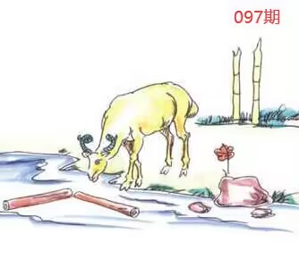 图片如未显示!证明未更新-开奖日再来看看