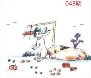 图片如未显示!证明未更新-开奖日再来看看