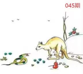 图片如未显示!证明未更新-开奖日再来看看