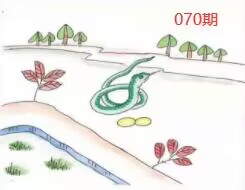 图片如未显示!证明未更新-开奖日再来看看