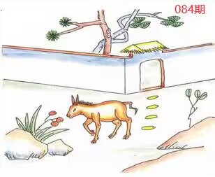 图片如未显示!证明未更新-开奖日再来看看
