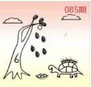 图片如未显示!证明未更新-开奖日再来看看