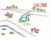 图片如未显示!证明未更新-开奖日再来看看