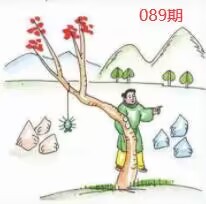 图片如未显示!证明未更新-开奖日再来看看